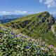 Naturpark Nagelfluhkette: 10 der schönsten Sommertouren