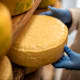 Alpine Delikatessen: Piora-Käse
