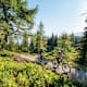 Sommer in Schladming-Dachstein