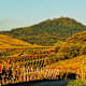 Weinwanderung in Baden-Württemberg