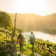 Wanderregion Wachau: 5 unvergessliche Erlebnisse im Frühling