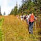 Wildschönau: Moor-Schauen, fußfrei