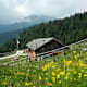 Rifugio Malga Conseria
