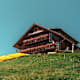 Hollhaus