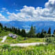 Katrin Alm