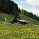 Alpe Gschwenderberg