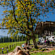 Bäckeralm Inzell