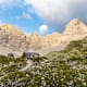Wanderung zur Lamsenjochhütte von der Eng/Großer Ahornboden