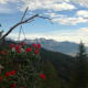 Kreither Alm