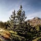 Nationalpark-Panoramaweg, Etappe 7: Von Zernez nach Lavin