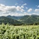 3 Tage im Reichraminger Hintergebirge, Etappe 3: Anlaufalm - Brunnbach