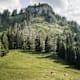 Auf den Alpstein und Trämpl