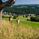 WesterwaldSteig Etappe 16: Von Waldbreitbach nach Bad Hönningen/Rheinbrohl