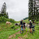 Bikepacking-Tour - Etappe 2: Von Burgberg nach Mellau