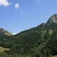 Auf dem "Käseweg": Allières - Col de Jaman - Les Avants