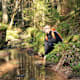 Genießerpfad (Premiumweg) - Wasser-Wald- und Wiesenpfad Calw - Bad Teinach - Zavelstein