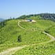 Schneeberg: Fadensteig