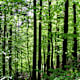 Freiwaldrundweg