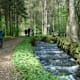 Weg der Entschleunigung - Natur erleben - Etappe 1: Aigen-Schlägl - Haslach