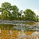 Weitwanderweg Nibelungengau - Etappe 7: Pöchlarn - Krummnussbaum