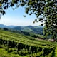 Vom Gletscher zum Wein, Südroute, Etappe 24: Von Ratsch an der Weinstraße nach Ehrenhausen