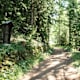 Gommer Waldweg von Oberwald nach Reckingen