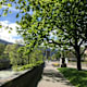 Promenadenwanderung in Brixen