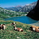 Leiterli - Iffigenalp