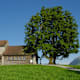 Rotkreuz - Michaelskreuz - Rotkreuz