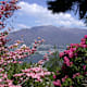 Lehrweg Gambarogno „Zwischen Bergen und See“