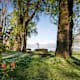 Am Ufer des Lago Maggiore - von Tenero zum Kamelienpark nach Locarno