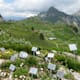 Schynige Platte-Oberberghorn-Schynige Platte