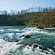 Rheinau – große Rheinfallwanderung