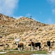 Jebel Hayane