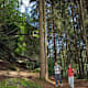 Goldsteig - Etappe 3: Von Falkenberg nach Neuhaus