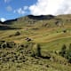Walserweg Graubünden - Etappe 18: Langwies - Fondeier Tobel - Blackten - Fondei, Strassberg