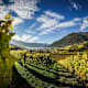 Eisacktaler Weinwanderweg in Brixen