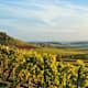 Im Bullenheimer Paradies