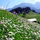 Wanderung zu Christas Skialm von Finkenberg