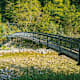 Wilder Graben und Wildnistrail Buchensteig