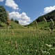 Adlerweg Osttirol - Etappe 6: Matrei on Osttirol - Sudetendeutsche Hütte