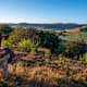 Albsteig Schwarzwald Etappe 5 Tour West: Bernau - Feldberg Passhöhe