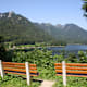 Almweg zum Schwarzensee