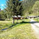 Wanderung zur Alpini-di-Campovecchio-Hütte von S. Antonio