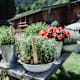 Wanderung zur Arbesreitalm von Maria Alm