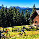 Salzkammergut BergeSeen eTrail, Etappe 5: Gosau - Bad Aussee