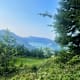 Wanderung zur Bleckwandhütte von Gschwendt/Strobl
