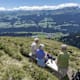 Auf die Alp Nadéls