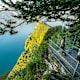Felsenweg Bürgenstock