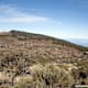 Huevos del Teide und Montaña Blanca